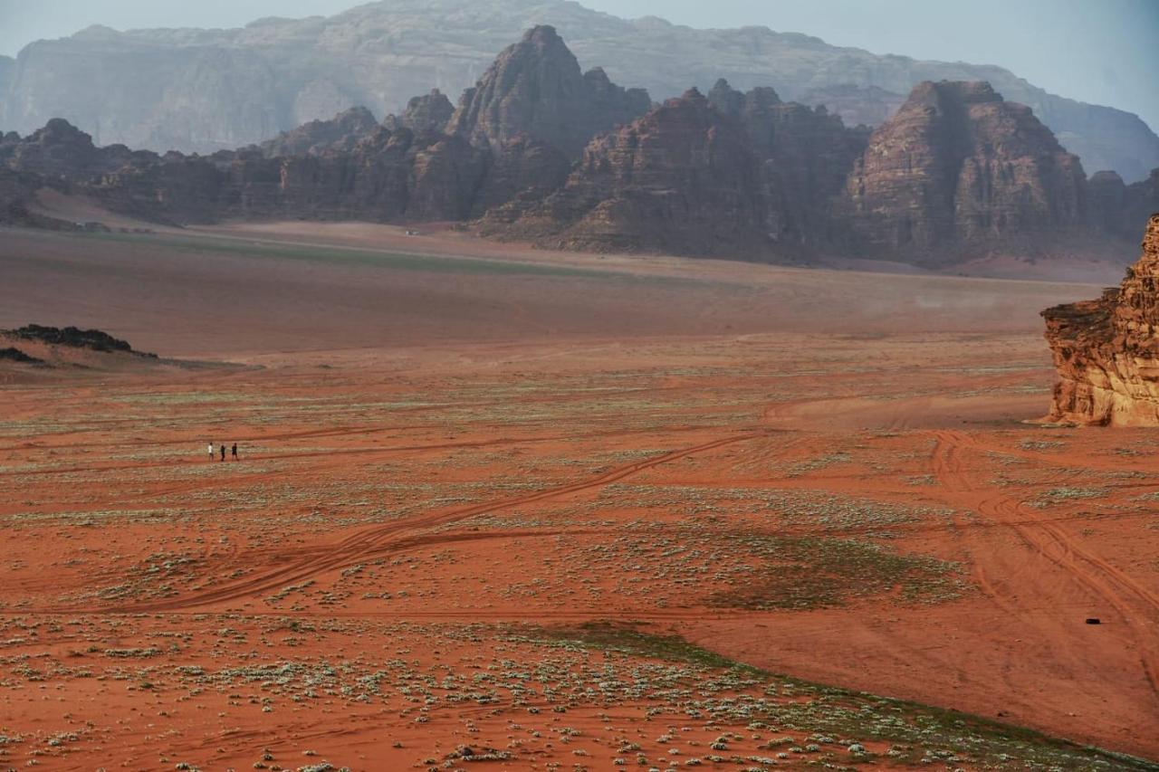 Art Camp Wadi Rum Eksteriør bilde